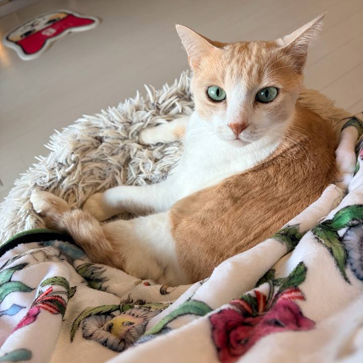 8ba11010 9be6 47b9 a2ee 603700ae091c 1768260932616