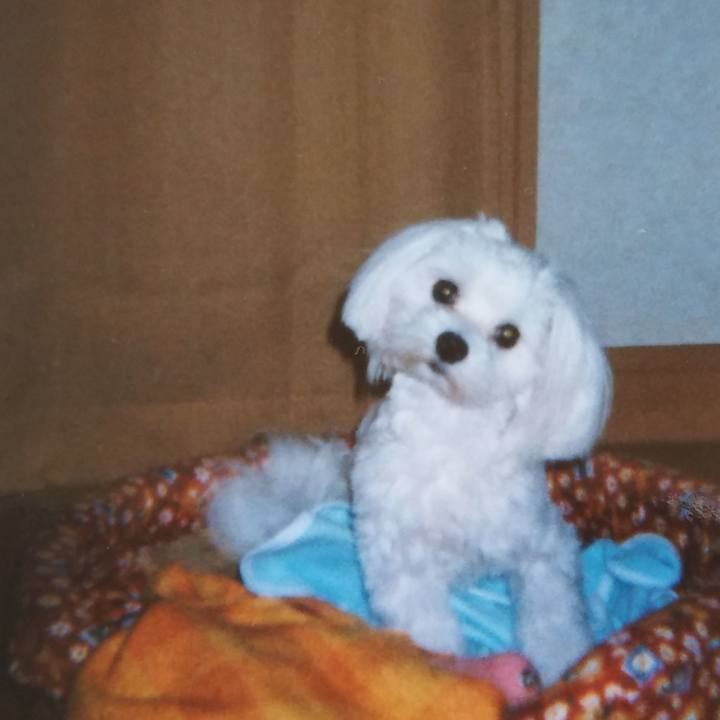 8ba1129b fe52 49c0 8950 fda523256c75 1612924151361