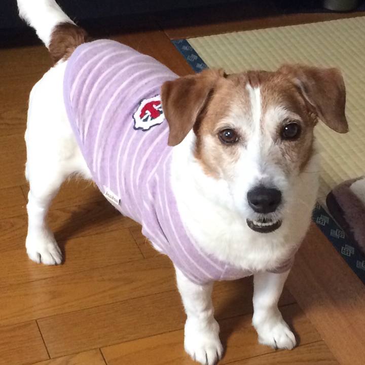 8ba122e2 f876 416e bbac bd641f126f6e 1525905128977