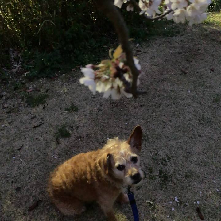 8ba140fd 4fe5 44e4 befe 2debd18bd60e 1712230147555