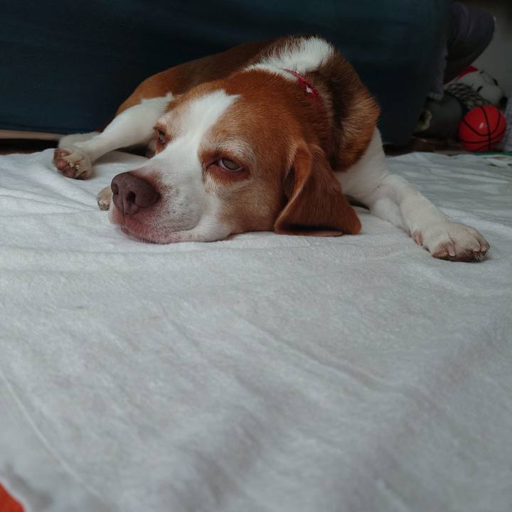 8ba14f43 7359 44fc 8127 3454a6618d75 1690683378665