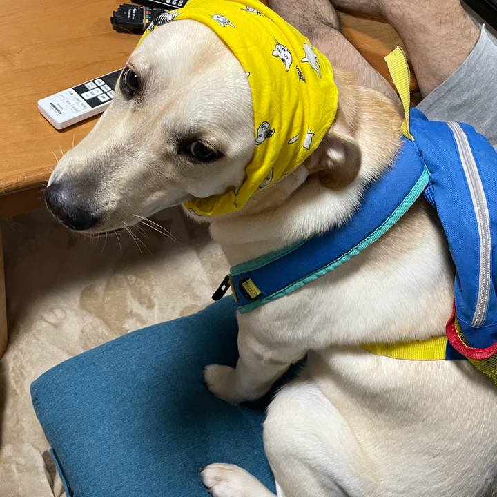 8ba159fc 48da 4be1 bd71 d33d0091ebe0 1633351461730