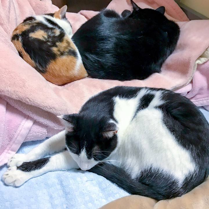 8ba18a1a 62fe 4da4 89aa bb8fa369ca56 1509891286461