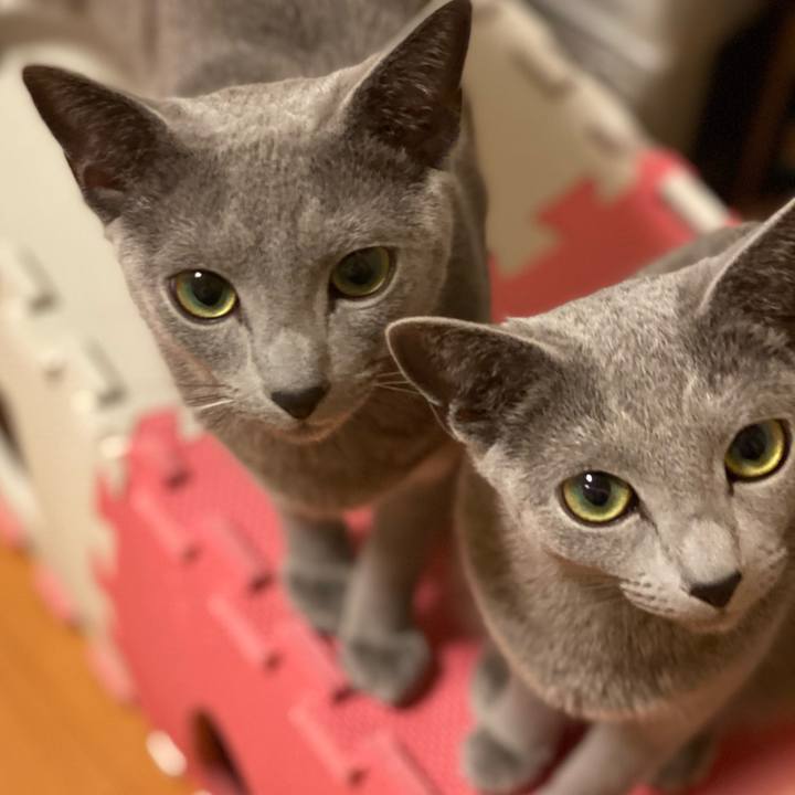 8ba191bb 5489 485b b2a0 e8c9002fc7f0 1619623331122