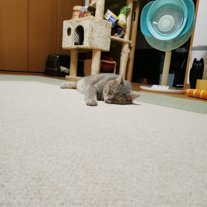 8ba1b16f ae89 4590 b7d4 54e3805933b8 1626618465217