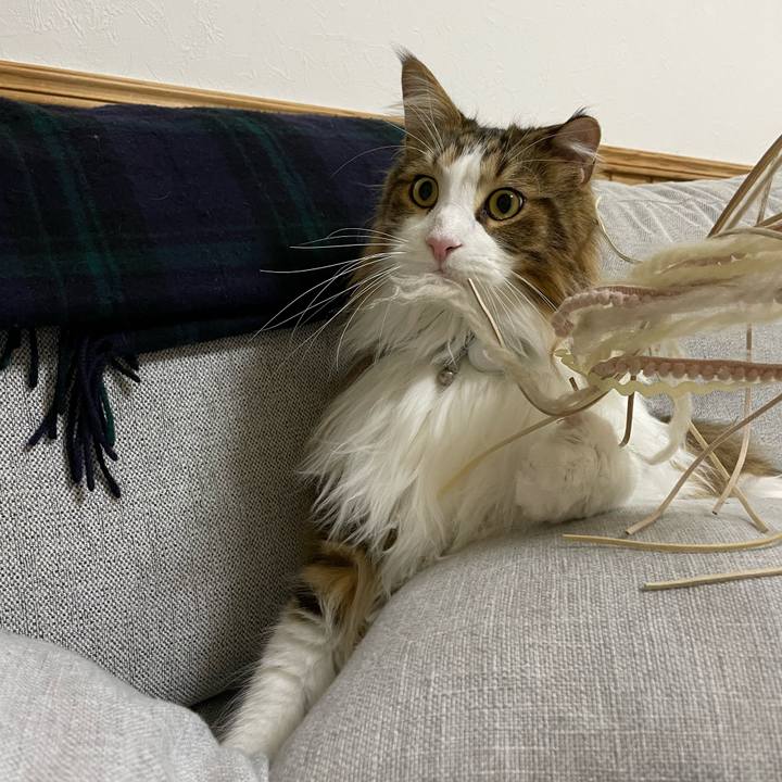 8ba1ea9e bab7 40b9 b296 1c0e3180140e 1678224831120