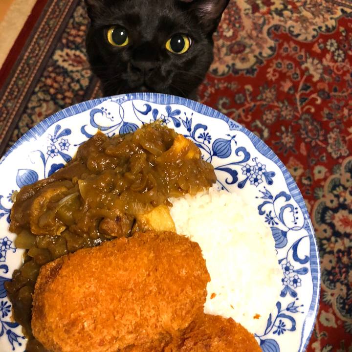 8ba20482 d292 4cab a035 1aa130a3d325 1539949392305