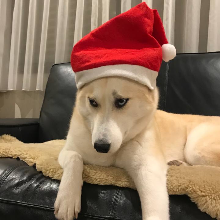 8ba20ba1 6581 4e04 9d9e 7a58475b07cb 1514115347029