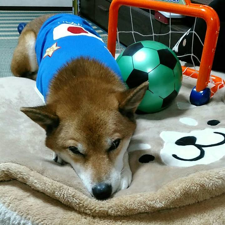 8ba22058 a94c 4447 9b1b ceed06b33c00 1571141048627