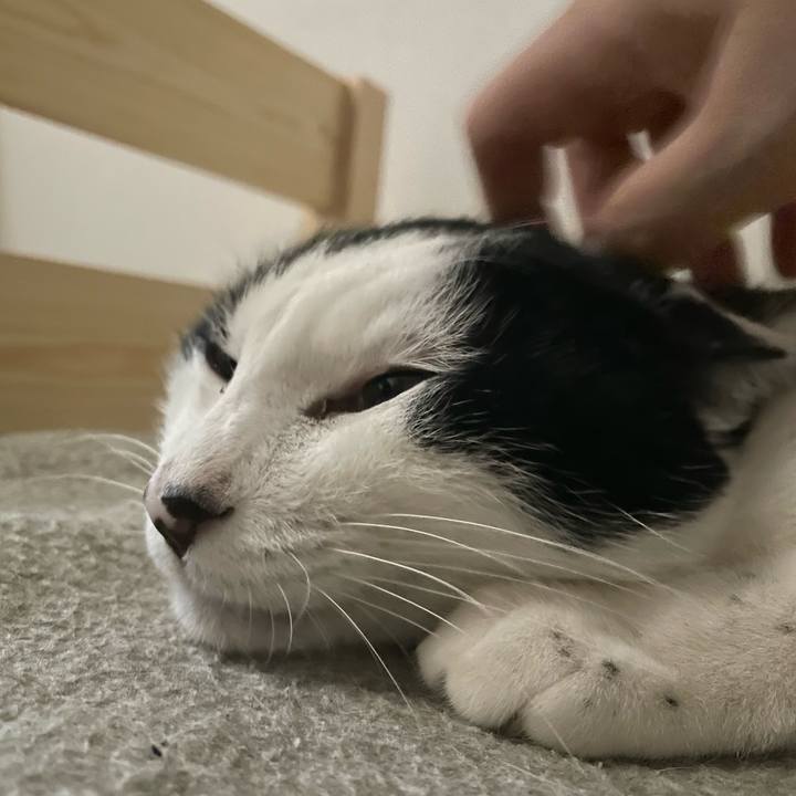 8ba22768 a19d 41d0 8776 25d7b01e478e 1671255401899