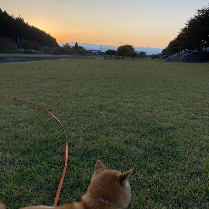 8ba236ea af80 4339 b1df 32a7437a9c58 1698146812502