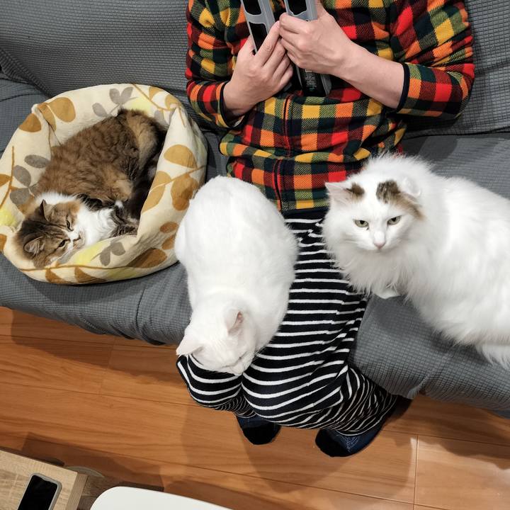 8ba249b5 ead2 4d0a 8aec 467fb1045192 1770128566121