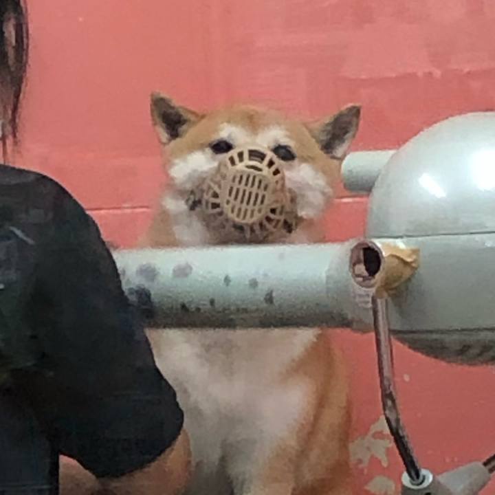 8ba2cc6d 6304 4007 9119 8ee211bd4acb 1595770164537