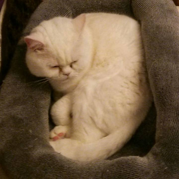 8ba2d0ad 7a45 4eda 8c45 59c5abe78d18 1516573684880