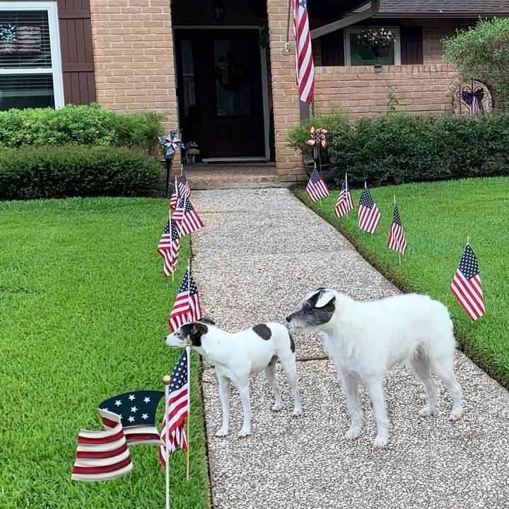 8ba2f09d 94b5 47e9 8eff 599e91f8a882 1625437261631