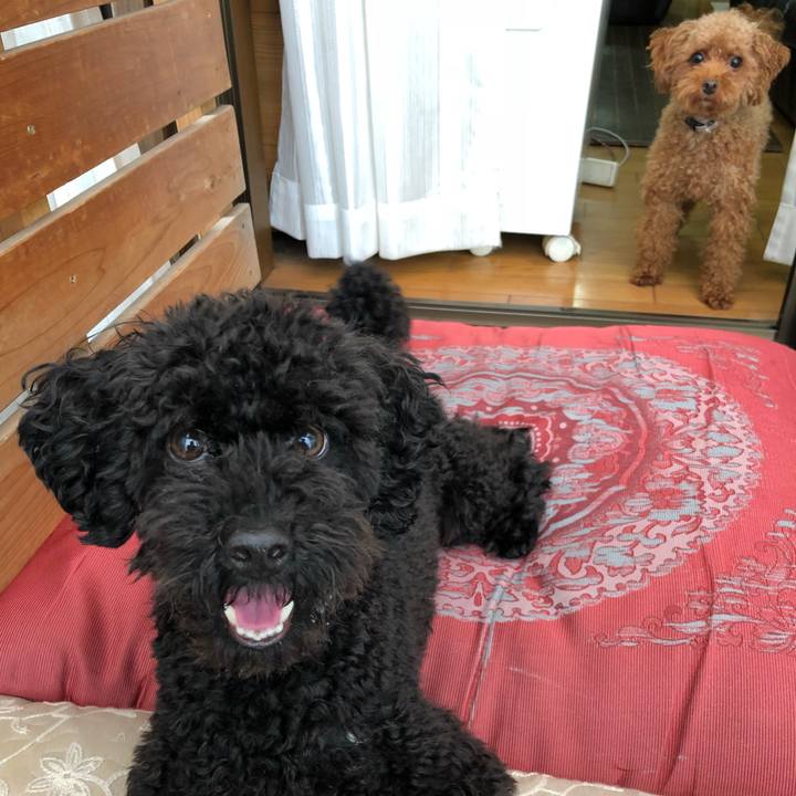 8ba32921 2b11 49b4 8e02 4f5c12cb663d 1538268535384