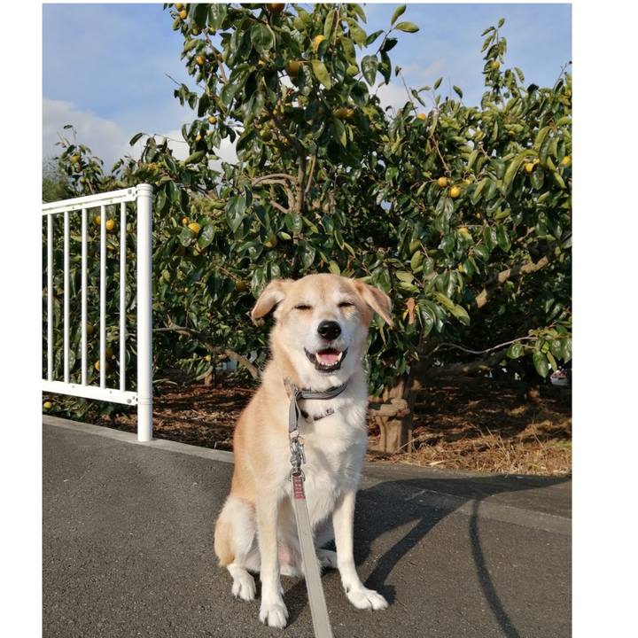 8ba34ae9 ec94 419c a999 204c80dcc9b2 1570522939784