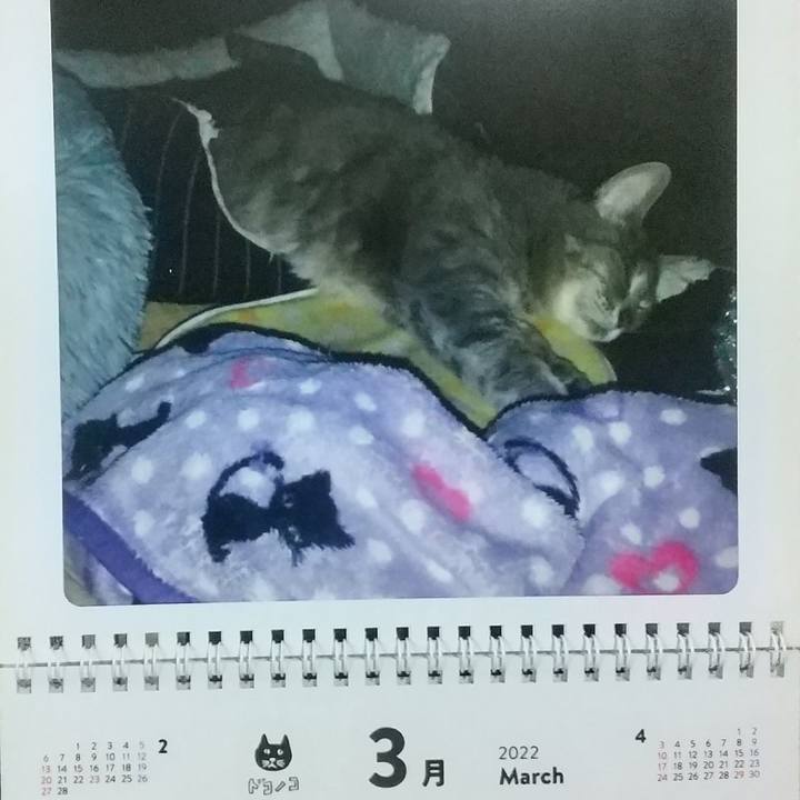 8ba3561a 4603 4616 89f7 ecf96a61bddc 1646085197642