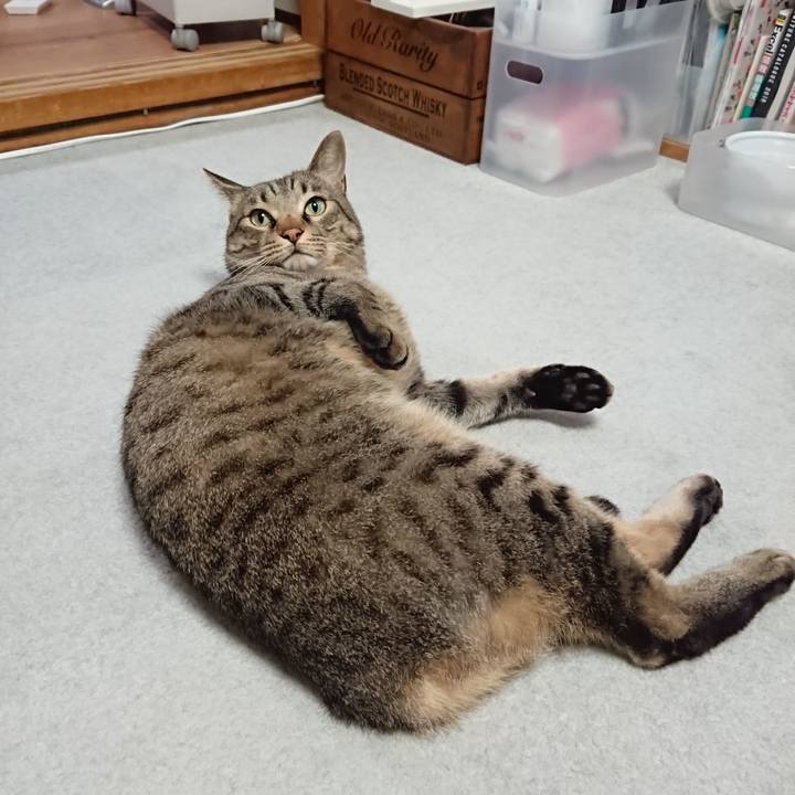 8ba38647 4e5c 454c 8dc2 a89047460bc8 1562067690129