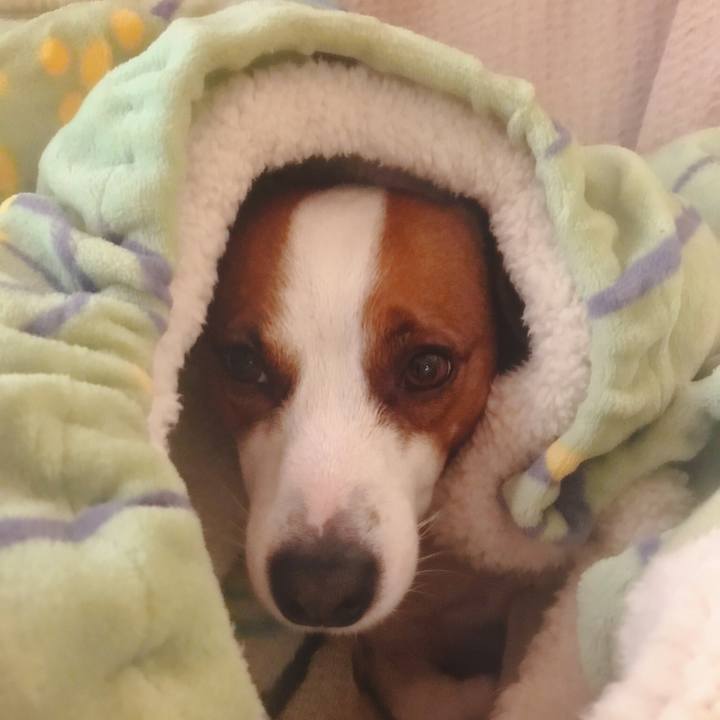 8ba3a673 345b 41c6 840a 0c8f8353ee59 1514399058851