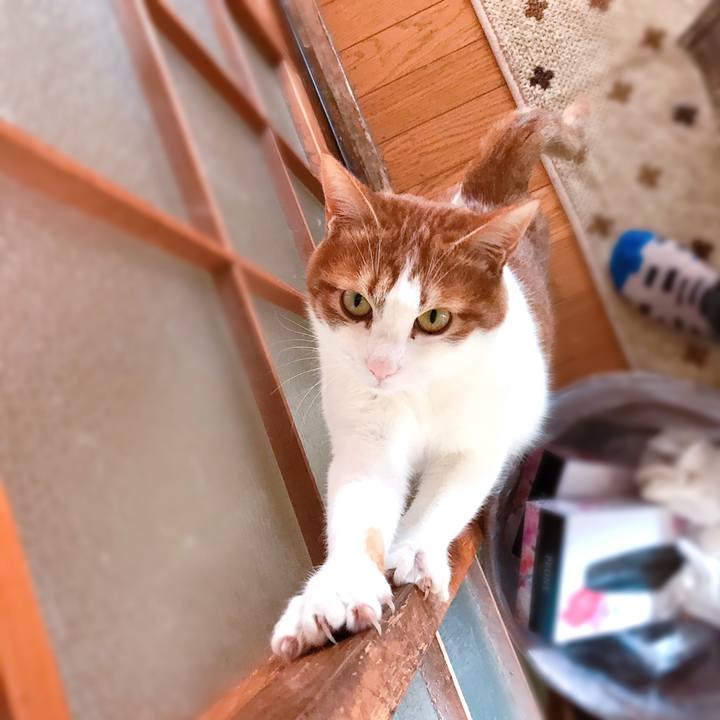 8ba3cb26 28cf 4c4a 9e9c 195c23547b84 1549602583520