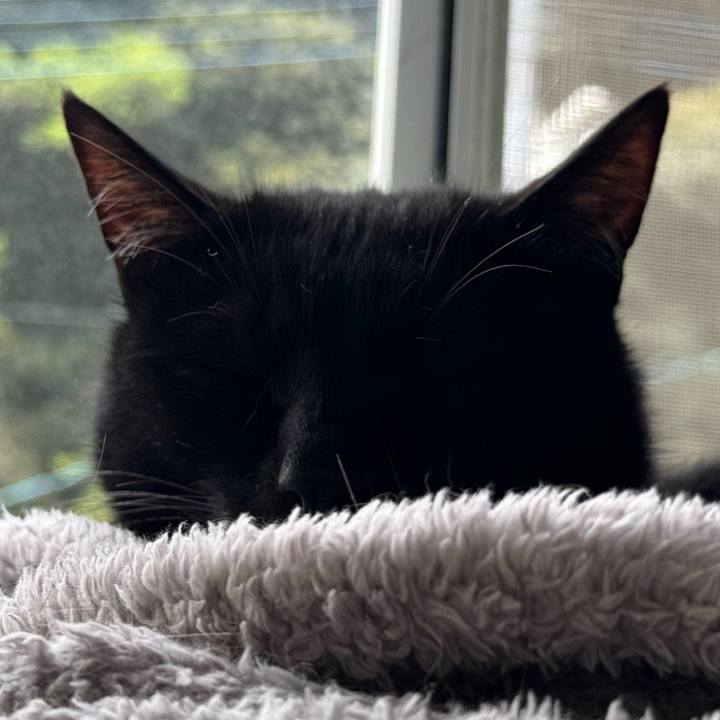 8ba3e264 7c17 4425 9505 f99ab9d3f76d 1712576523031