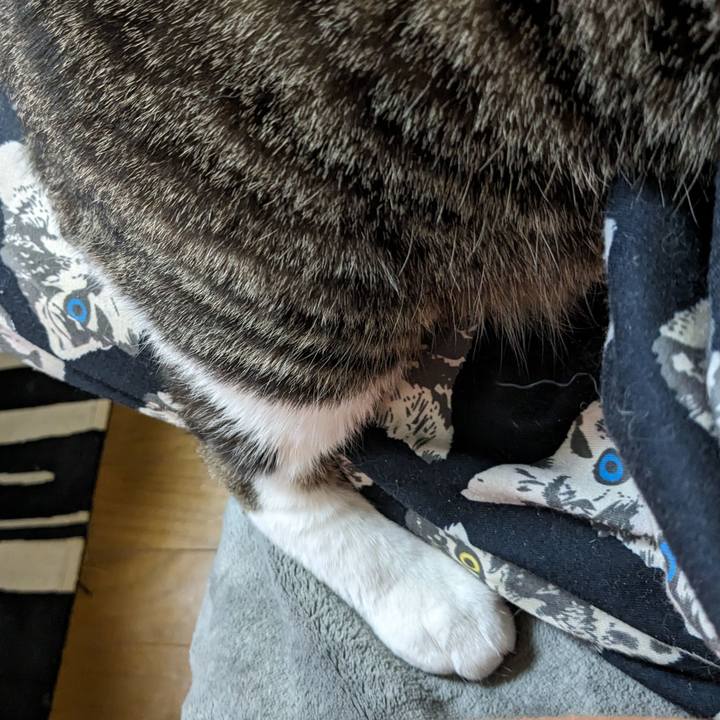 8ba4176d 6b15 45e8 9116 30c56a527ed2 1703659164802