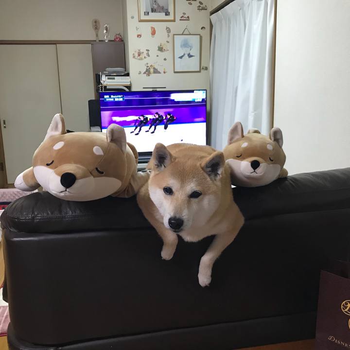 8ba42aa1 63ee 4284 ab82 8ef28ed00e11 1519220211253