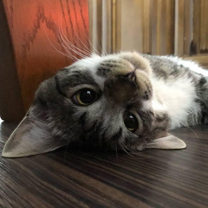 8ba47471 bfaf 4360 b059 b69a3ae5ab86 1651060802915