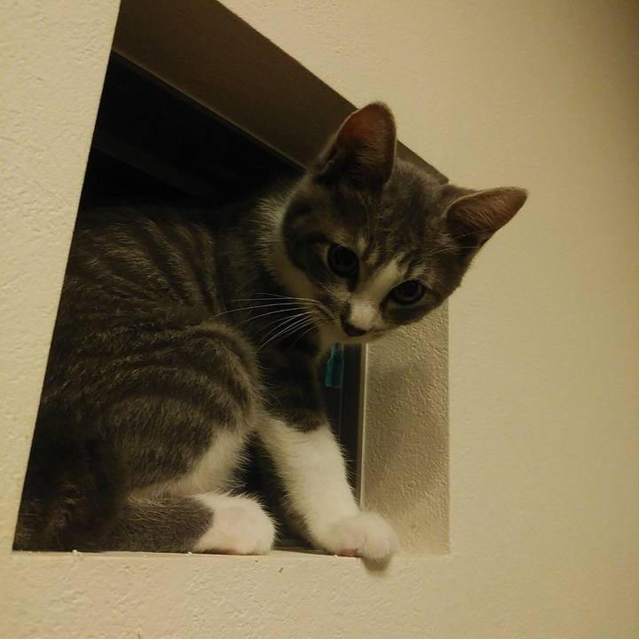 8ba4b93b 8ea5 418e a2ad ff2d1927a027 1564841994849