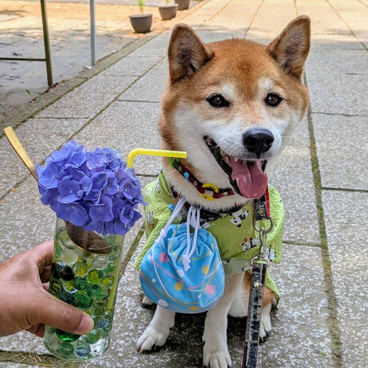 8ba4d962 a0dc 4e15 a46e 85db0b5b6011 1751797653952