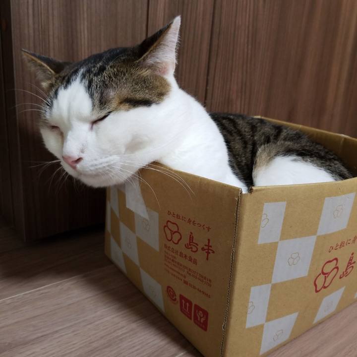 8ba4f0e8 52cc 4680 8bac c05b6cd06f8b 1567027004729