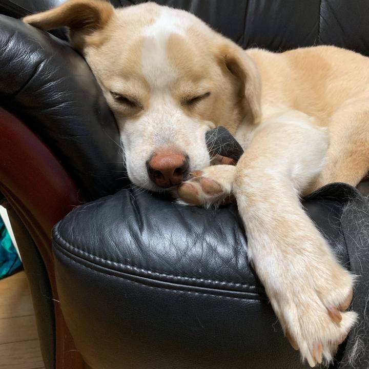 8ba50279 3ce7 494b 903b 7b8d11ac9698 1561907021835