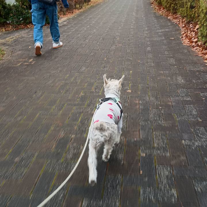 8ba544e0 0a2c 46fc 9f38 e16a2fe2e245 1765712869379