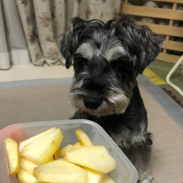 8ba56d85 b78d 4ee5 87a2 04d8646bda11 1633435663463