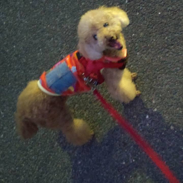 8ba5743d 9f7d 41da b1b1 b0786e6bfe0b 1660884228415