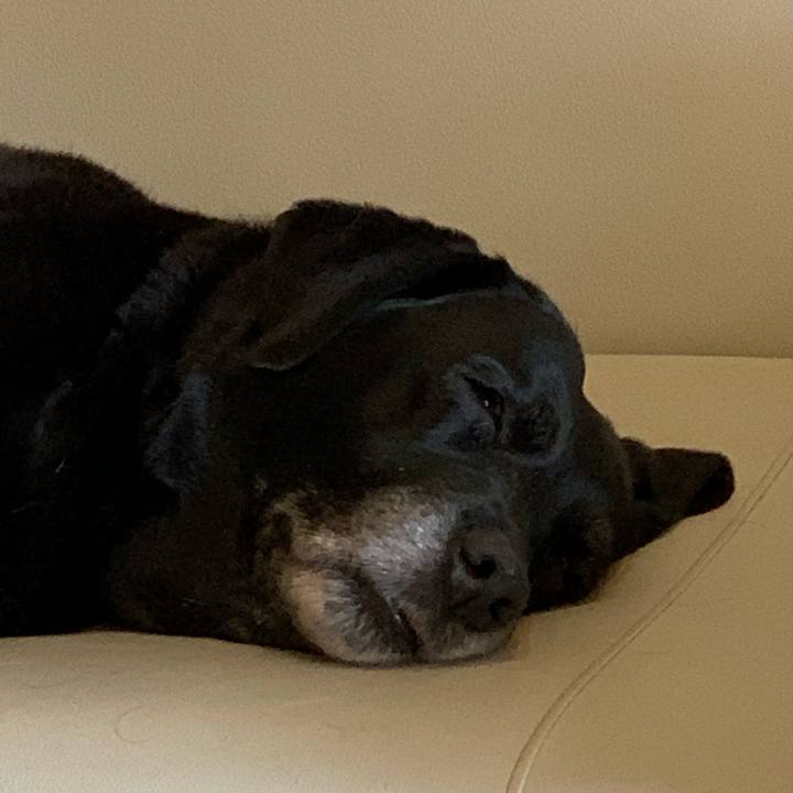 8ba59089 e3b8 423d a0f0 d94689e8151b 1555329692739