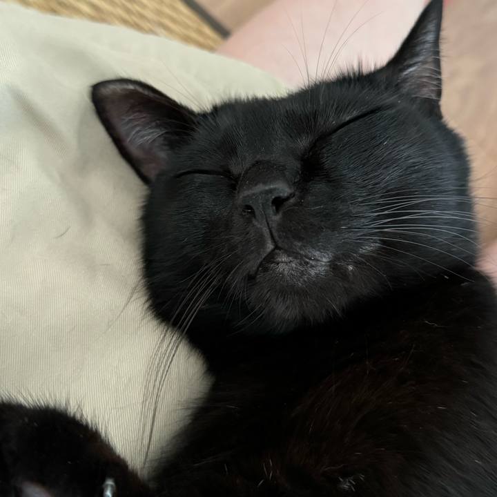 8ba59b0d 97cb 4596 9a24 c4d7312a67f6 1726398207926