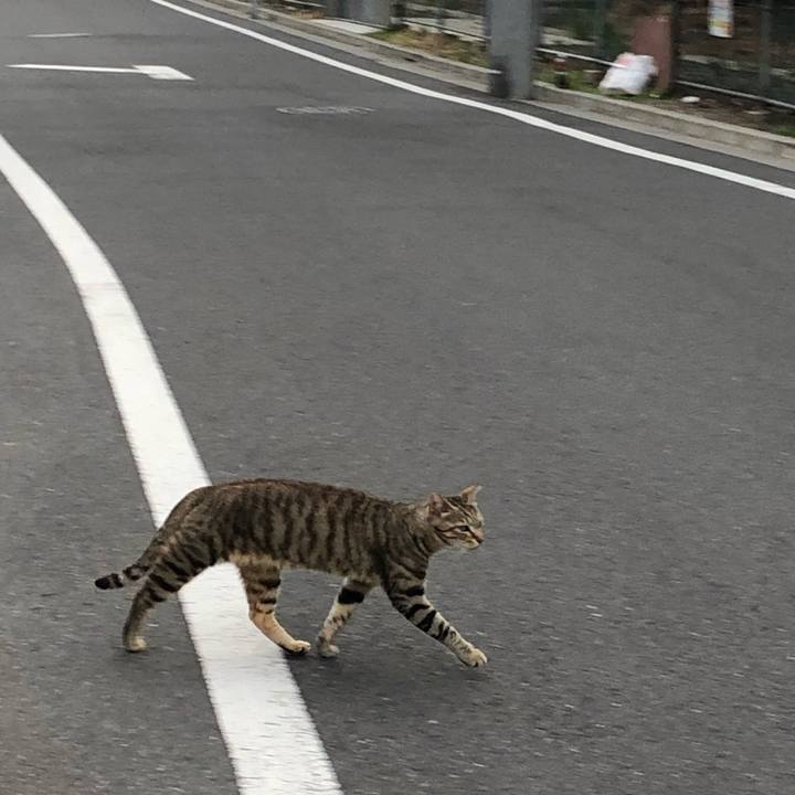 8ba5d608 cd02 4662 8c3e 156622fa288c 1560857081412