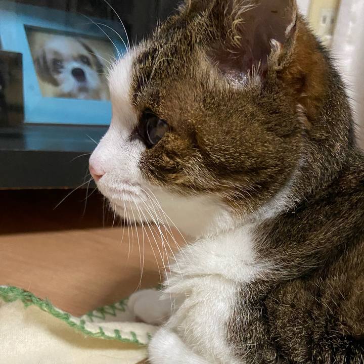 8ba5f7e0 e177 4f06 82bc fb704006f14b 1591194529868