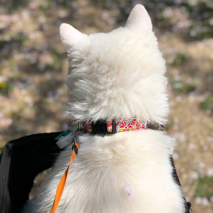 8ba5fb5e 9251 4903 97ef 915db30c698f 1652432663270