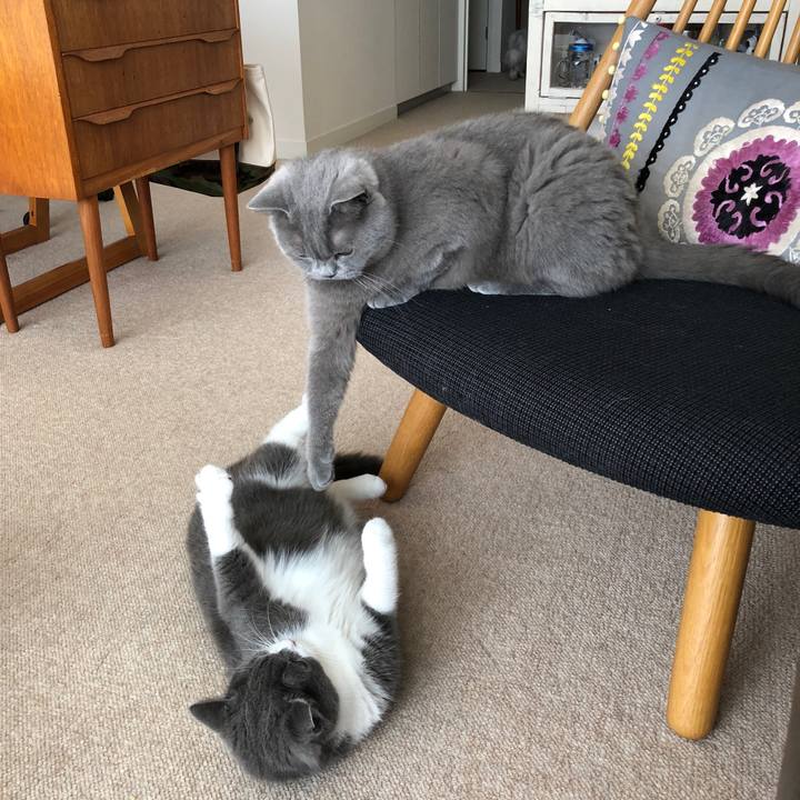 8ba673e2 d916 44b9 9b00 037e4a461061 1531012973400