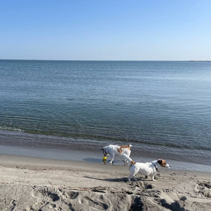 8ba68492 815f 4894 8d89 2800084bca29 1714261402602