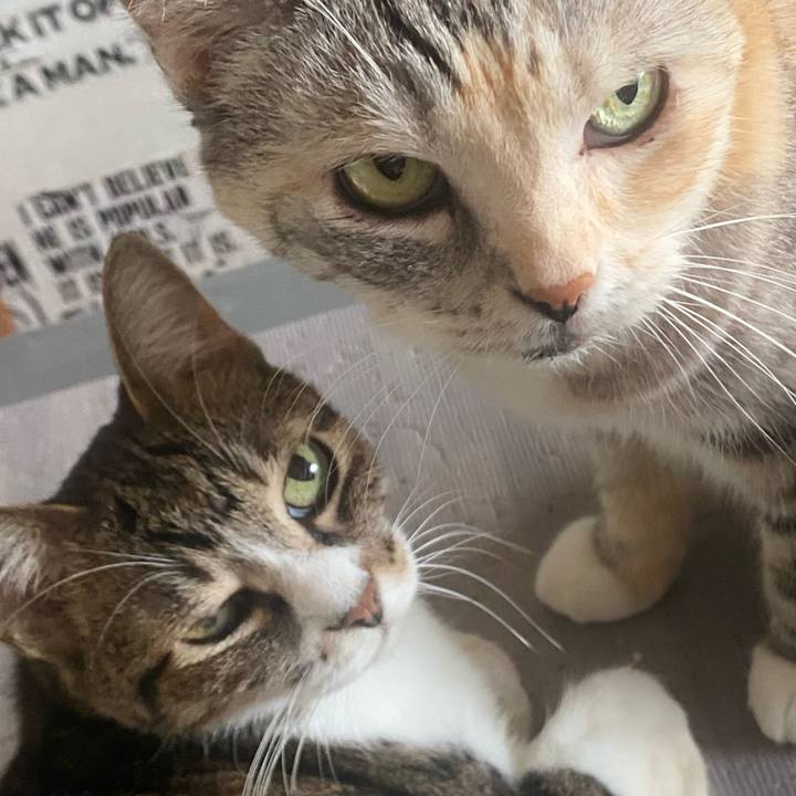 8ba6b340 d5a3 4286 9caa 8c59ef7b7012 1663372581240