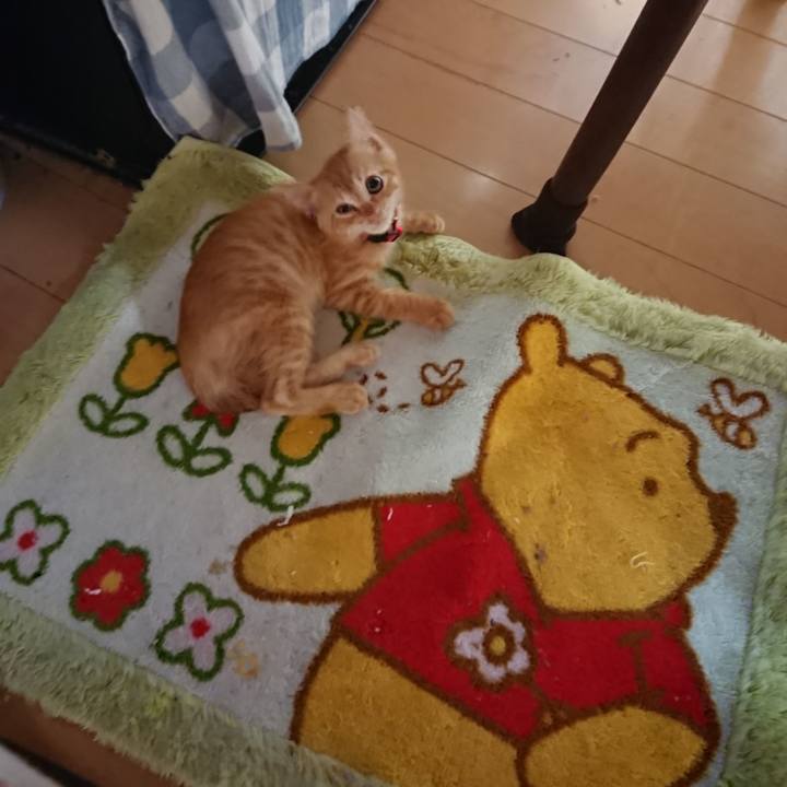 8ba6d603 c032 4f39 afba 9255eecb1180 1628370907861