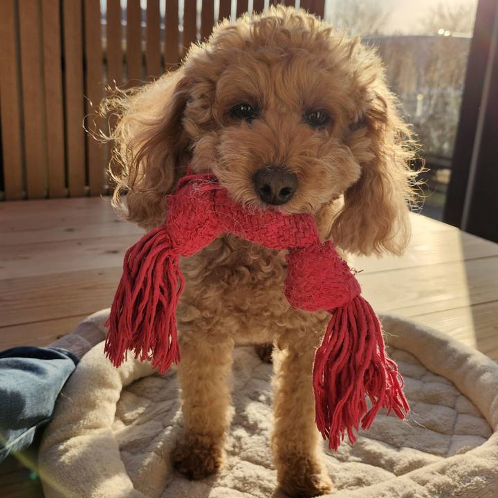 8ba6eaae 856d 434e 903c 342ff8aac192 1765322801467