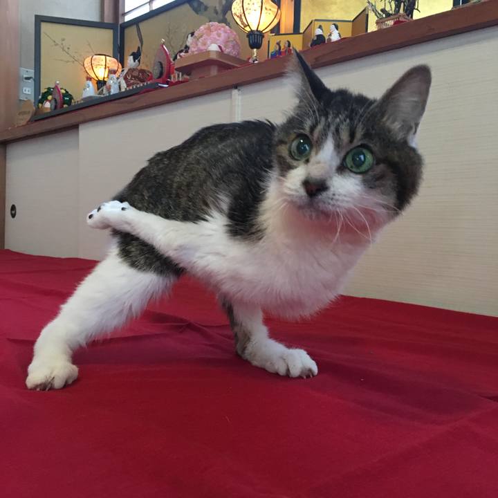 8ba715c9 3e56 43ef 9a50 d0320ea8c841 1740780521386