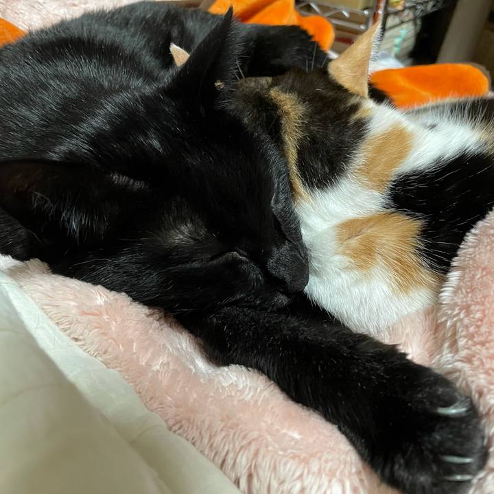 8ba71e32 35bf 456f b5f8 df89df1bffe0 1612230439188