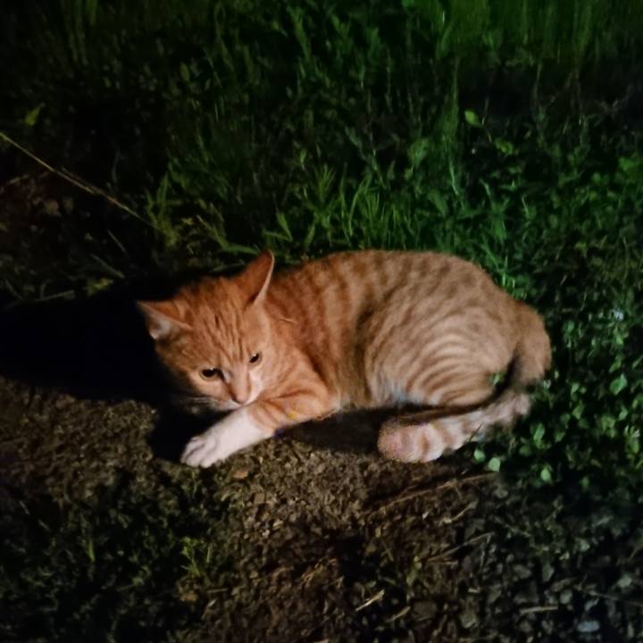 8ba74bbd 763f 461c b4e3 6f487f61ecc8 1563883877220