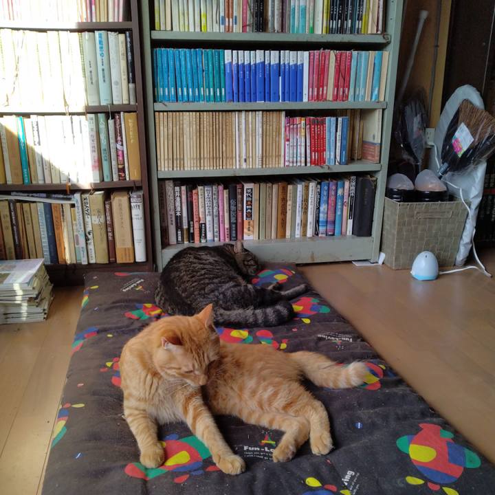 8ba77d51 4751 4a34 a1d8 f525f6a0efed 1663538767842